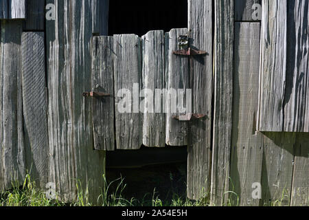 CA 03725-00 ... Kalifornien - die Hälfte der Tür in der Altstadt Lyons Schafe Ranch Scheune in der kahlen Hügel Bereich der Redwoods National Park. Stockfoto
