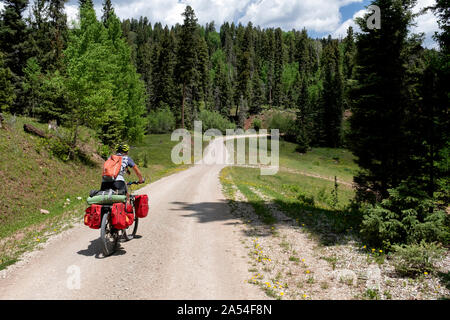 NM 00147-00 ... NEW MEXICO - Vicky Feder Radfahren die Große Mountainbike Route nördlich von Kuba am Waldweg 70 in Rio Arriba County unterteilen. Stockfoto