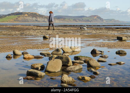 Frau wandern Hund auf einen Kiesstrand in der Nähe von Charmouth, Dorset bei Ebbe Stockfoto