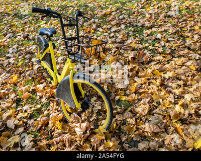 Geparkten gelben rent-a-bike im City Park. Boden durch gefallene Laub abgedeckt Stockfoto