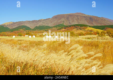 Senomoto Plateau im Herbst, Präfektur Kumamoto, Japan Stockfoto