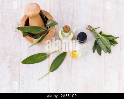 Natürlichen Spa Zutaten Salbei ätherischen Ölen für die Aromatherapie. Stockfoto
