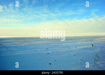 Hügel bedeckt mit Schnee, Feld mit Sonnenblumen schneiden Stängel, Winterlandschaft, helles blau-goldenen bewölkten Abendhimmel Stockfoto