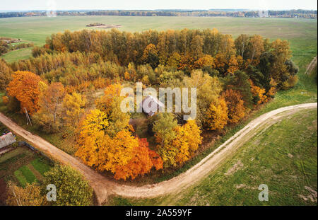 Malerischer herbst Park Aerial Drohne anzeigen. Coutry side Road in großen Feld Stockfoto