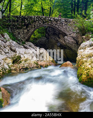 Brücke in der Nähe Slap Savica Wasserfall Nationalpark Triglav, Slowenien Stockfoto