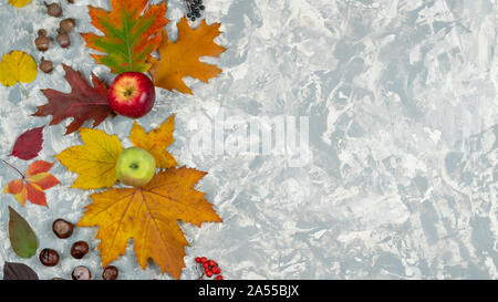 Flach herbst Zusammensetzung aus Herbst Blätter, Eicheln, Kastanien und Äpfel auf Pastell grauer Hintergrund, Ansicht von oben mit der Kopie Raum Stockfoto