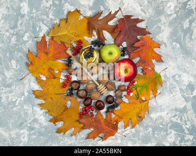 Flach herbst Komposition. Kreis Rahmen aus Herbstlaub, Acorn, Honig und Äpfel auf Pastellgrau Hintergrund, Ansicht von oben Stockfoto