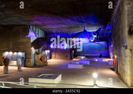 Theme Park Ausstellung im Kalksteinbruch Höhle in Fertorakos, Ungarn. Megalodon, Megalodon Backen, Kentriodontid Delfine und Wale von miozän Ära. Stockfoto