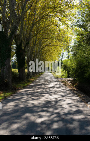 Ländlichen, ruhigen Straße in der Nähe von San Remy, Provence, Frankreich. Stockfoto