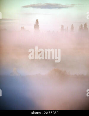 Peterborough, Cambridgeshire, Großbritannien. 17 Okt, 2019. Die frühen Morgennebel hat schöne weiche Farbtöne über Nene Park, Peterborough, Cambridgeshire, Großbritannien am 17. Oktober 2019 erstellt. Credit: Paul Marriott/Alamy leben Nachrichten Stockfoto