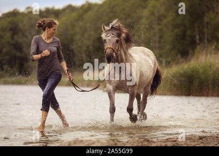 Frau mit Fjord Pferd Stockfoto