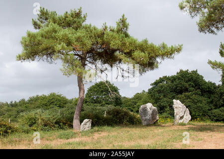 Viereck der Crucuno, Kreis der Menhire, Quiberon, Departement Morbihan, Bretagne, Frankreich Stockfoto