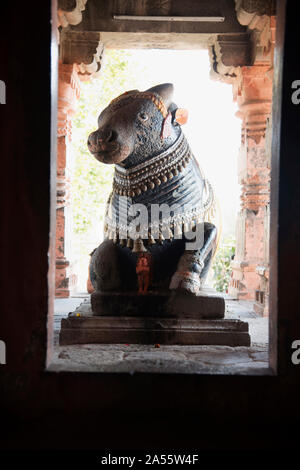 Stein Nandi an Sangmeshwar Tempel in Districtrict Saswad, Pune, Maharashtra, Indien Stockfoto