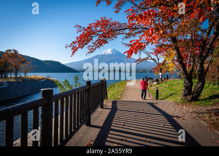 Mt. Fuji über dem See Kawaguchiko mit Herbstlaub tagsüber in Fujikawaguchiko, Japan. Stockfoto