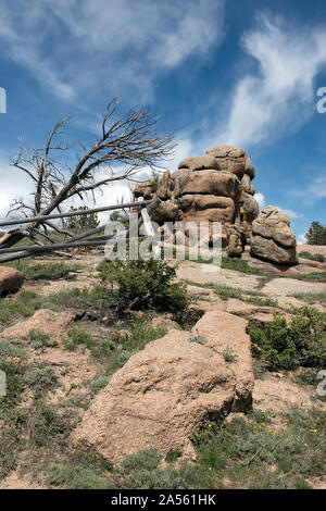 Vedauwoo Turtle Rock, eine sehr hohe Stapel verwitterten Sherman Granit, ist der Eckpfeiler einer 3,2 km langen Weg in der Medizin Bow-Routt National Forest zwischen Laramie und Cheyenne auf dem Albany-Laramie county Line in Wyoming Stockfoto