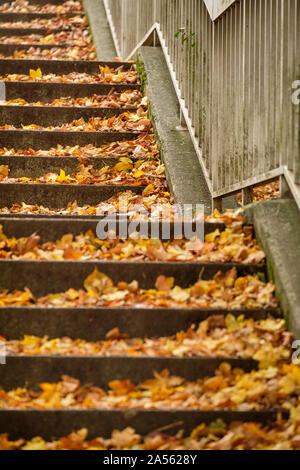 Nahaufnahme einer öffentlichen Treppe mit Geländer aus Metall im Herbst mit der Gefallenen rutschigen Herbstlaub bedeckt. In Deutschland im Oktober gesehen. Stockfoto