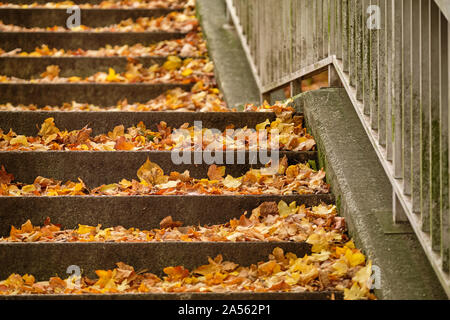 Nahaufnahme einer öffentlichen Treppe mit Geländer aus Metall im Herbst mit der Gefallenen rutschigen Herbstlaub bedeckt. In Deutschland im Oktober gesehen. Stockfoto