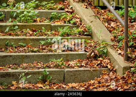 Öffentliche Treppe mit Geländer aus Stahl im Herbst mit der gefallenen Blätter und Pflanzen wachsen aus der Treppe abgedeckt. In Deutschland im Oktober gesehen. Stockfoto