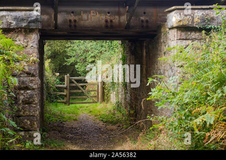 Woodland Trail. Blick auf einem hölzernen Tor, durch eine Brücke in Dorset, Großbritannien Stockfoto