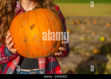 Junge Frau hält eine Frisch gepflückte Kürbis in einem Feld im Herbst mit Kopie Raum Stockfoto