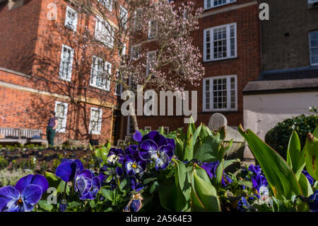 Herrliche Cambridge Innenhof mit spektakulärer Architektur. Die Erkundung der Cambridge Universität und Hochschulen an einem Frühlingstag. Cambridge City Stockfoto