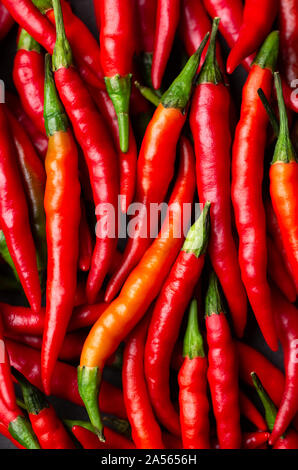 Ansicht von oben von frisch gepflückte rote Cayenne Pfeffer Stockfoto