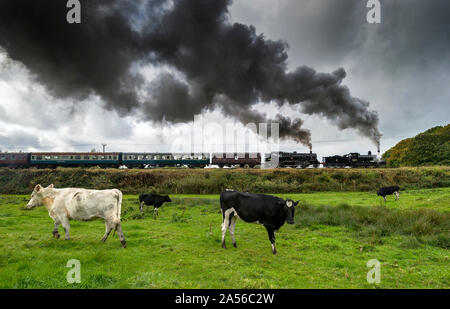 Bury, Lancashire, UK. 18. Okt 2019. Der erste Tag des jährlichen Herbst Dampf auf der East Lancashire Eisenbahn. Die freiwillige laufen Heritage Railway ist einer der festen Favoriten mit Dampf Enthusiasten, die aus dem ganzen Land reisen, um die dreitägige Veranstaltung zu besuchen. Favoriten aus dem Osten des Lancashire Eisenbahn Home Flotte hinzukommen, und special guest Lokomotiven für den Dampf spektakulär! Ein gehört der Kühe tragen auf dem Essen das Gras als Motoren BR Nr. 52322 und BR-Standard Klasse 4 2-6-4T Nr. 80080 bereit Grate stop in Manchester Lancashire zu verlassen. Bild von der Credit: Paul Heyes/Alamy leben Nachrichten Stockfoto