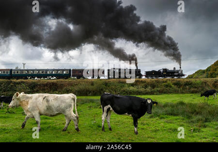 Bury, Lancashire, UK. 18. Okt 2019. Der erste Tag des jährlichen Herbst Dampf auf der East Lancashire Eisenbahn. Die freiwillige laufen Heritage Railway ist einer der festen Favoriten mit Dampf Enthusiasten, die aus dem ganzen Land reisen, um die dreitägige Veranstaltung zu besuchen. Favoriten aus dem Osten des Lancashire Eisenbahn Home Flotte hinzukommen, und special guest Lokomotiven für den Dampf spektakulär! Ein gehört der Kühe tragen auf dem Essen das Gras als Motoren BR Nr. 52322 und BR-Standard Klasse 4 2-6-4T Nr. 80080 bereit Grate stop in Manchester Lancashire zu verlassen. Bild von der Credit: Paul Heyes/Alamy leben Nachrichten Stockfoto