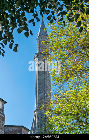 ISTANBUL TÜRKEI DIE HAGIA SOPHIA EINE DER MINARETTE und Blätter im Herbst Stockfoto