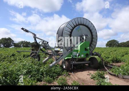 Landwirtschaftliche Bewässerung auf Ackerland im Sommer, Großbritannien Stockfoto