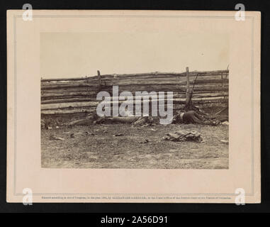 Ansicht im Feld, auf der Westseite des Hagerstown Straße, nach der Schlacht von Antietam Stockfoto