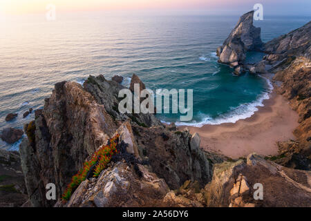 Praia da Ursa Strand von oben. Rocky Vordergrund mit gelben Blumen im Sonnenuntergang beleuchtet. Surreale Landschaft von Sintra, Portugal. Atlantik Küste Stockfoto