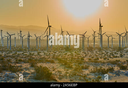 Windmühlen bei Sonnenuntergang. Stockfoto