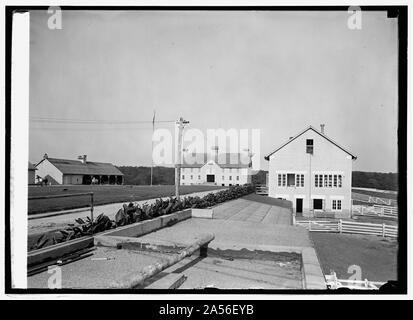 Anzeigen von Beltsville, MD.], Hof und Gebäude, 8/18/24. Stockfoto