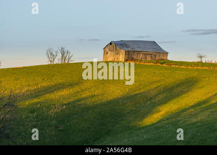 Alten Tabakscheune. Stockfoto