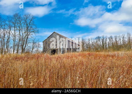 Scheune im hohen Gras mit blauen Himmel und Wolken. Stockfoto