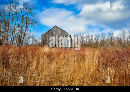 Scheune im hohen Gras mit blauen Himmel und Wolken. Stockfoto