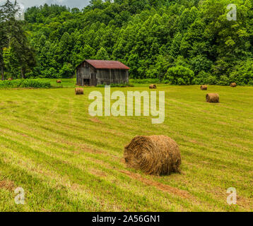 North Carolina Scheune mit Rundballen in Feld 2. Stockfoto