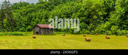 North Carolina Scheune mit Rundballen in Feld 1. Stockfoto