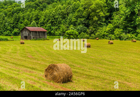 North Carolina Scheune mit Rundballen in Feld 3. Stockfoto