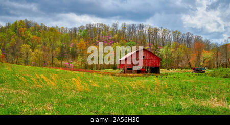 Rote Scheune im Heu Feld mit knospenden Frühling die Bäume im Hintergrund. Stockfoto