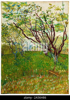 Vincent van Gogh, den blühenden Obstgarten, Landschaftsmalerei, 1888 Stockfoto