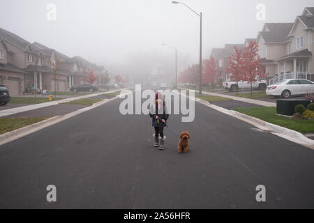 Mädchen gehen Hund in der Mitte der misty Vorstadtstraße, in voller Länge Porträt Stockfoto