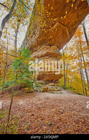 Twin Arches Trail, South Arch bei Big South Fork National River und Erholungsgebiet, TN. Stockfoto