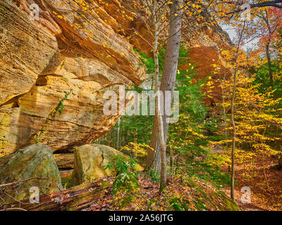 Twin Arches Trail, South Arch bei Big South Fork National River und Erholungsgebiet, TN. Stockfoto