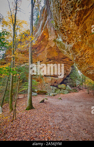 Twin Arches Trail,Arch bei Big South Fork National River und Erholungsgebiet, TN. Stockfoto