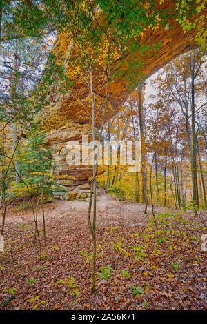 Twin Arches Trail, South Arch bei Big South Fork National River und Erholungsgebiet, TN. Stockfoto