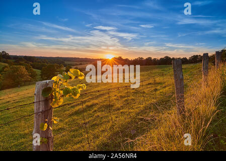 Sonnenuntergang mit Zaun, Harrison Co KY. Stockfoto