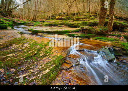 Raven Run Creek. Stockfoto