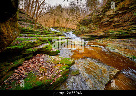 Raven Run Creek. Stockfoto